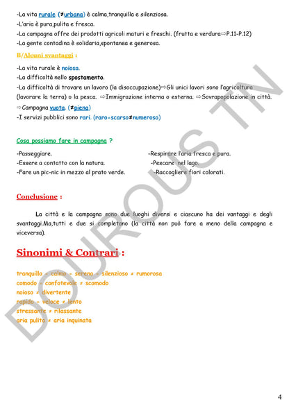italien résumés, esaais, méthodologie , langue et épreuves BAC corrigées - Toutes les sections (noir)