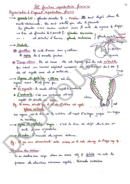 SVT Résumés et exercices corrigés en couleurs Tome 1 - BAC Sciences