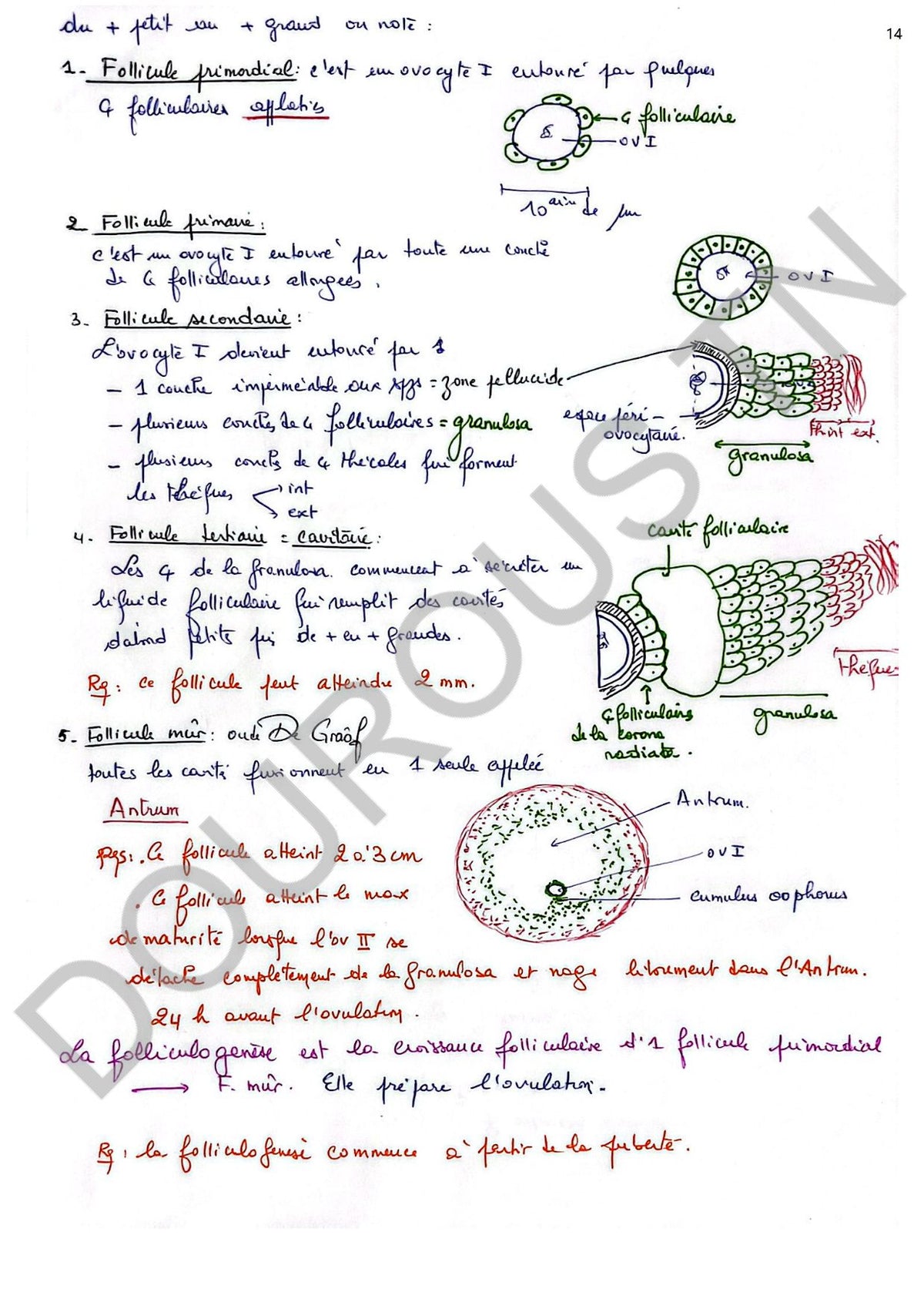 SVT Résumés et exercices corrigés en couleurs Tome 1 - BAC Sciences