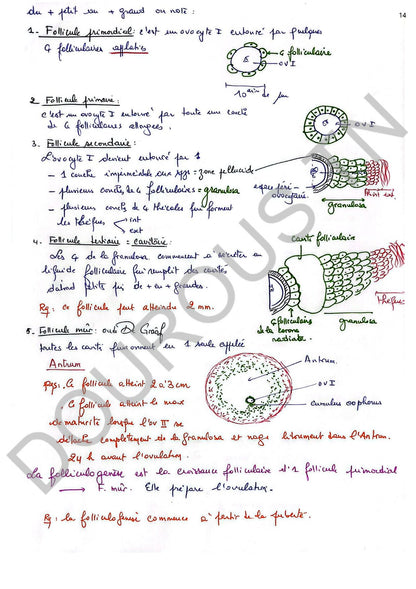 SVT Résumés et exercices corrigés en couleurs Tome 1 - BAC Sciences