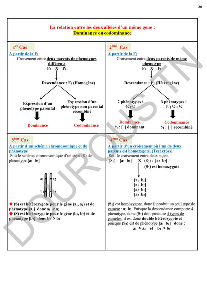 SVT Résumés et exercices corrigés en couleurs Tome 1 - BAC Sciences