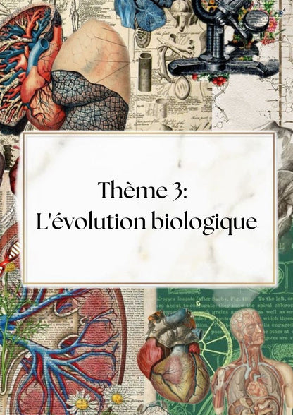 SVT Résumés et exercices corrigés en couleurs Tome 2 - BAC Sciences
