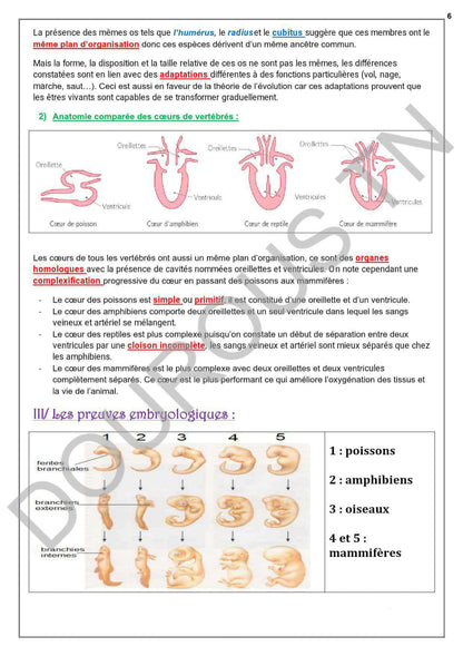 SVT Résumés et exercices corrigés en couleurs Tome 2 - BAC Sciences