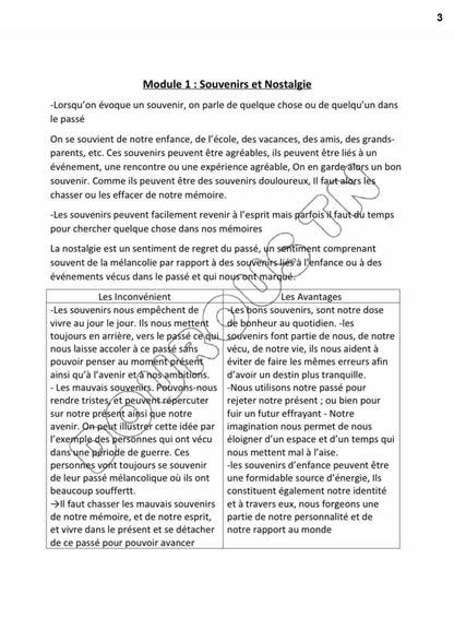 Français (BAC sciences - math - techniques - info - éco et gestion)